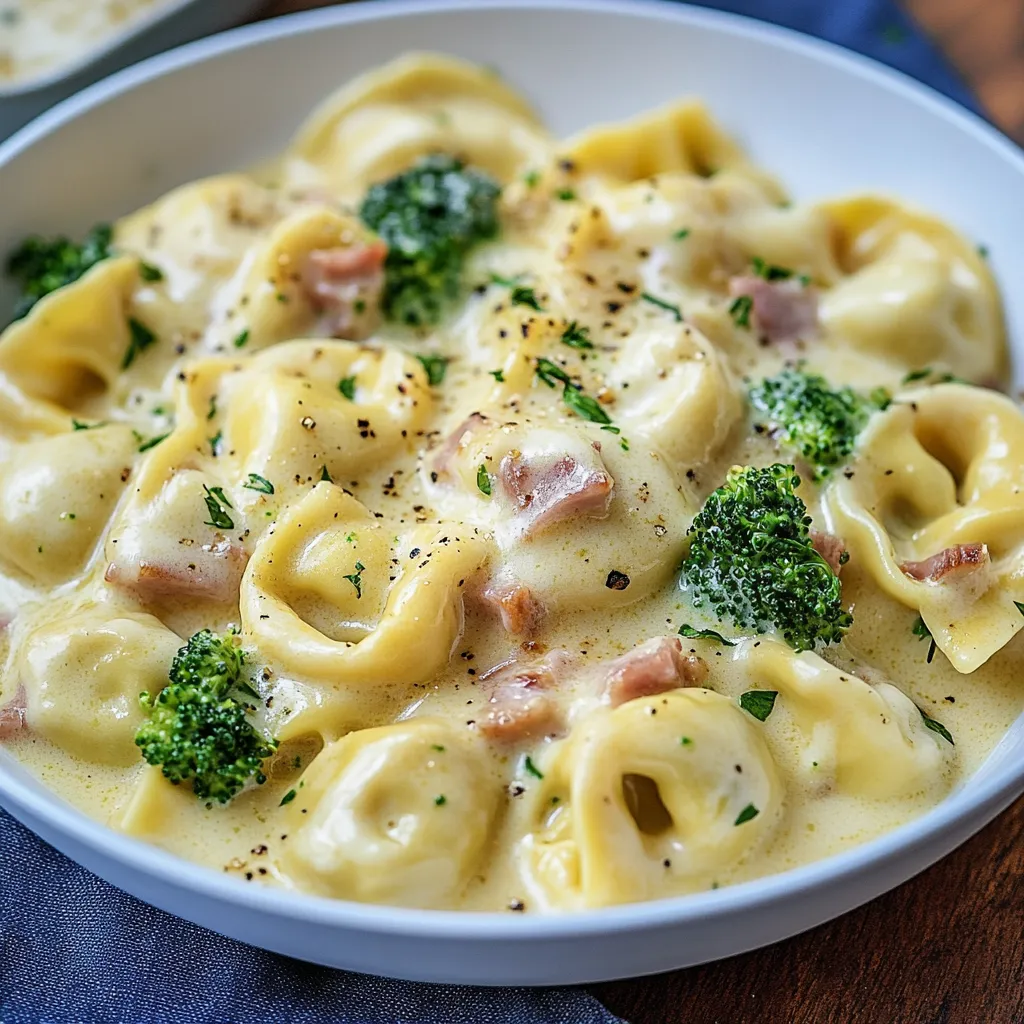 Tortellini Auflauf in Sahnesoße – schnell, lecker und einfach