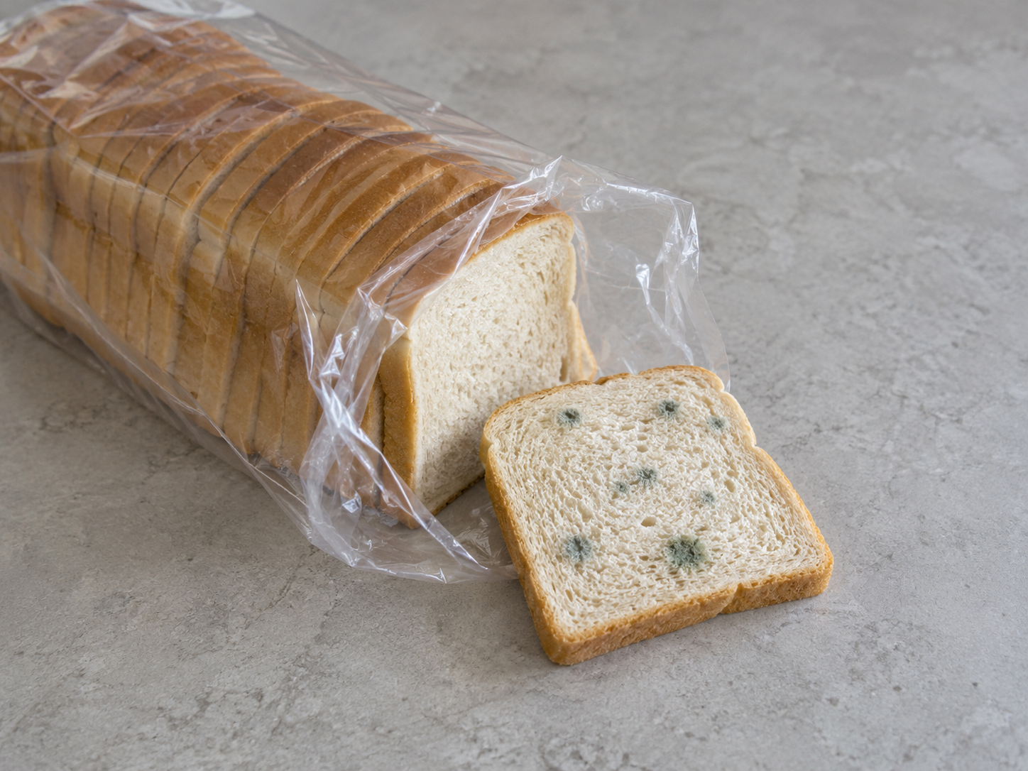 Geöffnete Toastbrotpackung mit einer sichtbar grün gefleckten Scheibe.